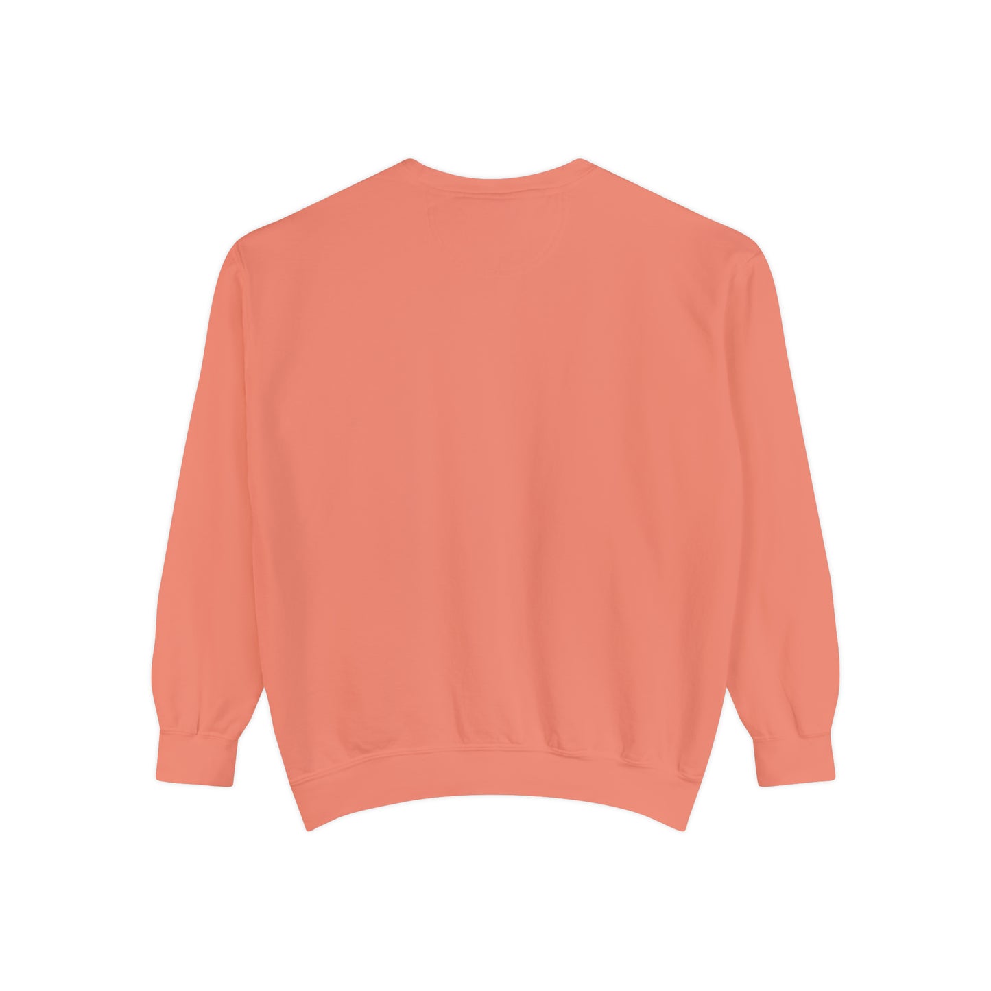 SWIFT Sweatshirt